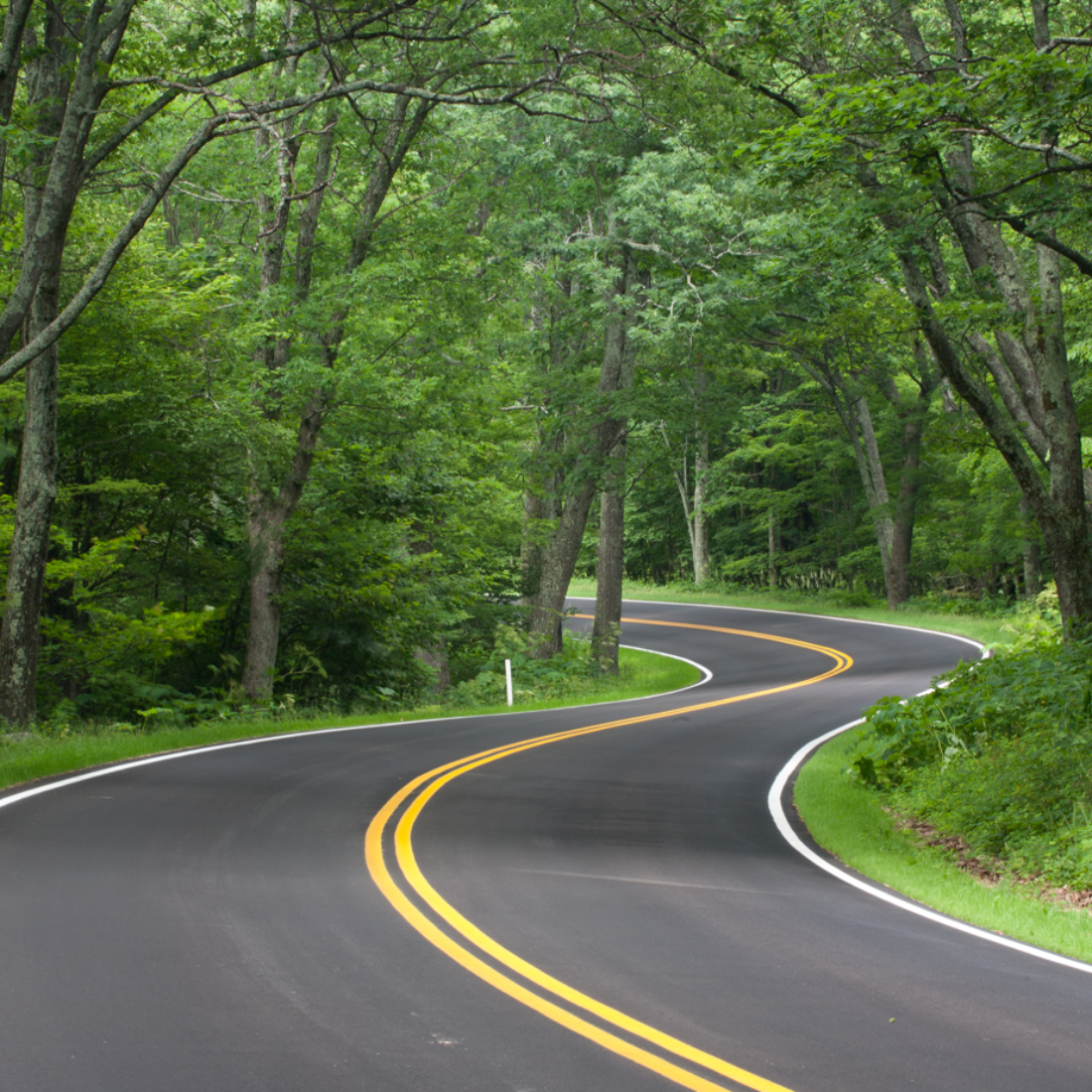 Screenshot 2025-11-11 090903